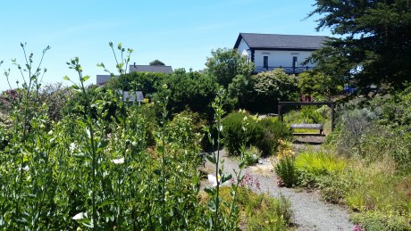 Garden Suites walking paths